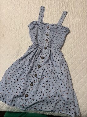 Sienna Sky Light Blue Floral Button-Front Sundress